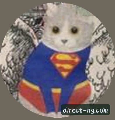 User